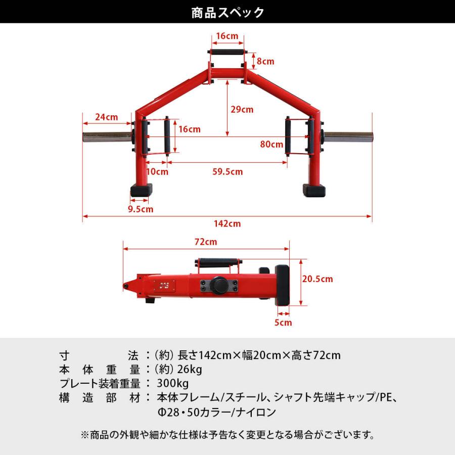 LEADING EDGE（リーディングエッジ） DNSコラボ 限定カラー バーベル