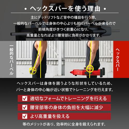 LEADING EDGE（リーディングエッジ） DNSコラボ 限定カラー バーベル