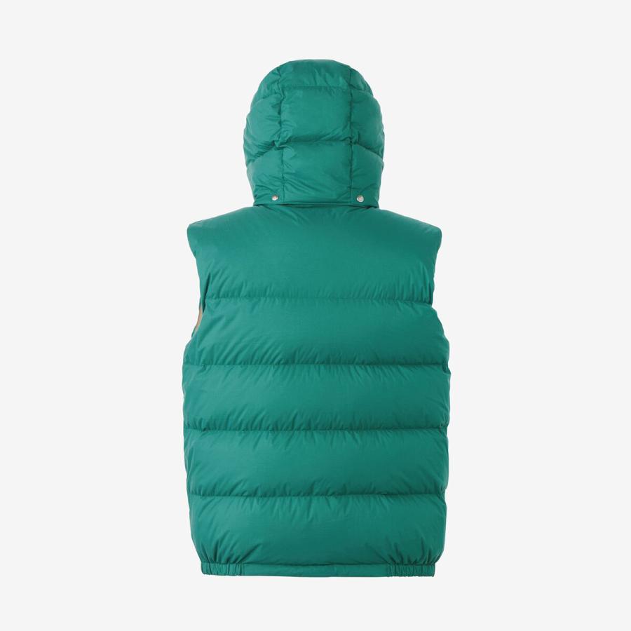 THE NORTH FACE（ザ ノースフェイス） キャンプシエラベスト ND92231