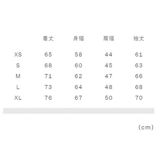 HELLY HANSEN フィリーダウンジャケット HH12370 AE アッシュブルー メンズ レディース 2024秋冬モデル ダウンジャケット 【KINSALE】 ダウン アウター
