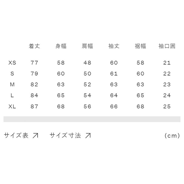 THE NORTH FACE ザ ノース フェイス サイズ RH REG THE NORTH FACE（ザ ノースフェイス） ロングスリーブロックステディ