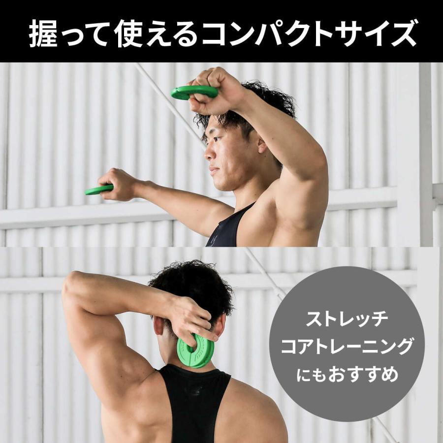LEADING EDGE（リーディングエッジ） アドオンプレート 0.5kg 2枚