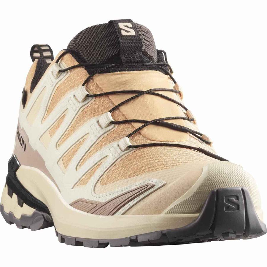 サロモン SALOMON エックスエー プロ 3D V9 ゴアテックス レディース トレイルランニングシューズ 防水トレイルシューズ 足裏保護 耐久性 安定性 岩場 泥道