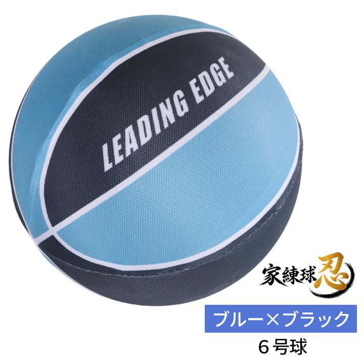 LEADING EDGE（リーディングエッジ） 【年間1位】[プロ監修] 家練球