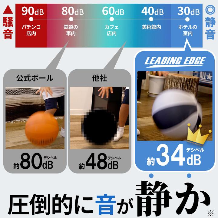 LEADING EDGE（リーディングエッジ） [プロ監修] ヤフー1位 静音