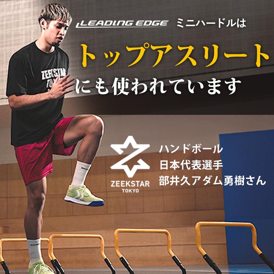 LEADING EDGE（リーディングエッジ） ハードル・ラダー・フラット