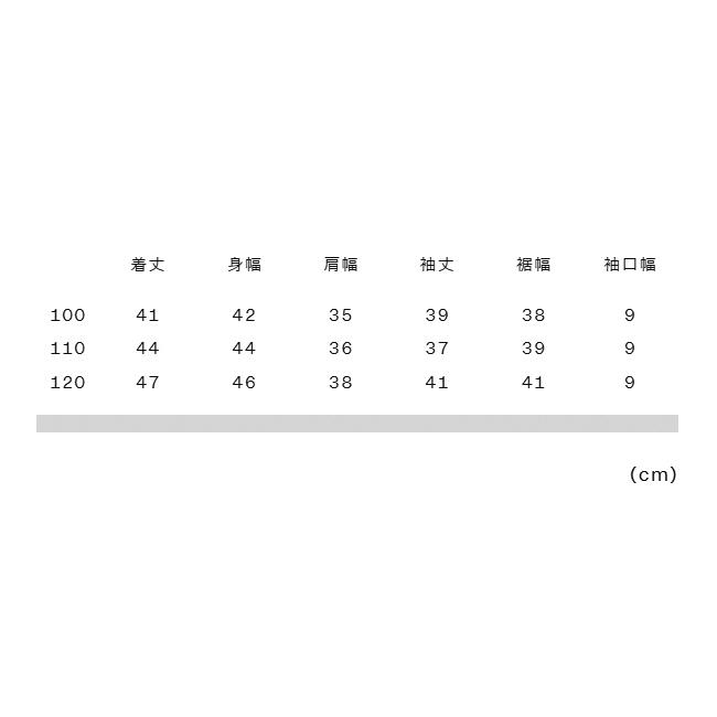 THE NORTH FACE（ザ ノースフェイス） ノースフェイス トドラー