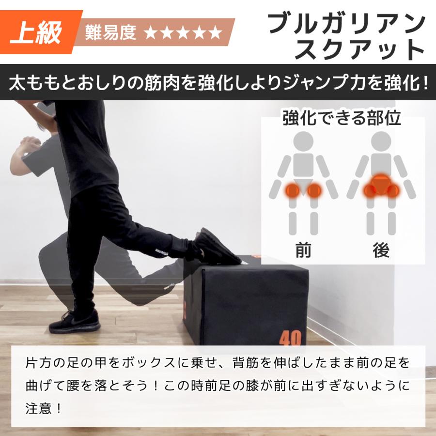 LEADING EDGE プライオボックス 40×50×60cm 3段階高さ調整 衝撃吸収 耐