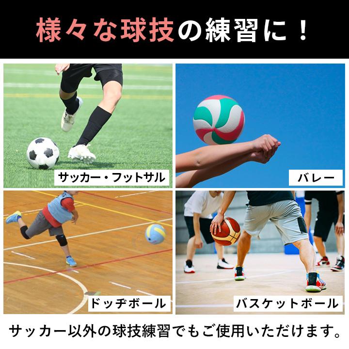 LEADING EDGE（リーディングエッジ） リバウンドネット 100×90cm 角度