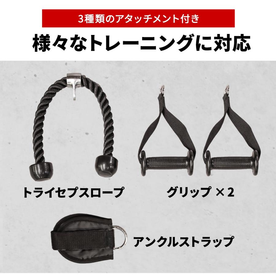 LEADING EDGE（リーディングエッジ） プーリーケーブルマシン [ LE