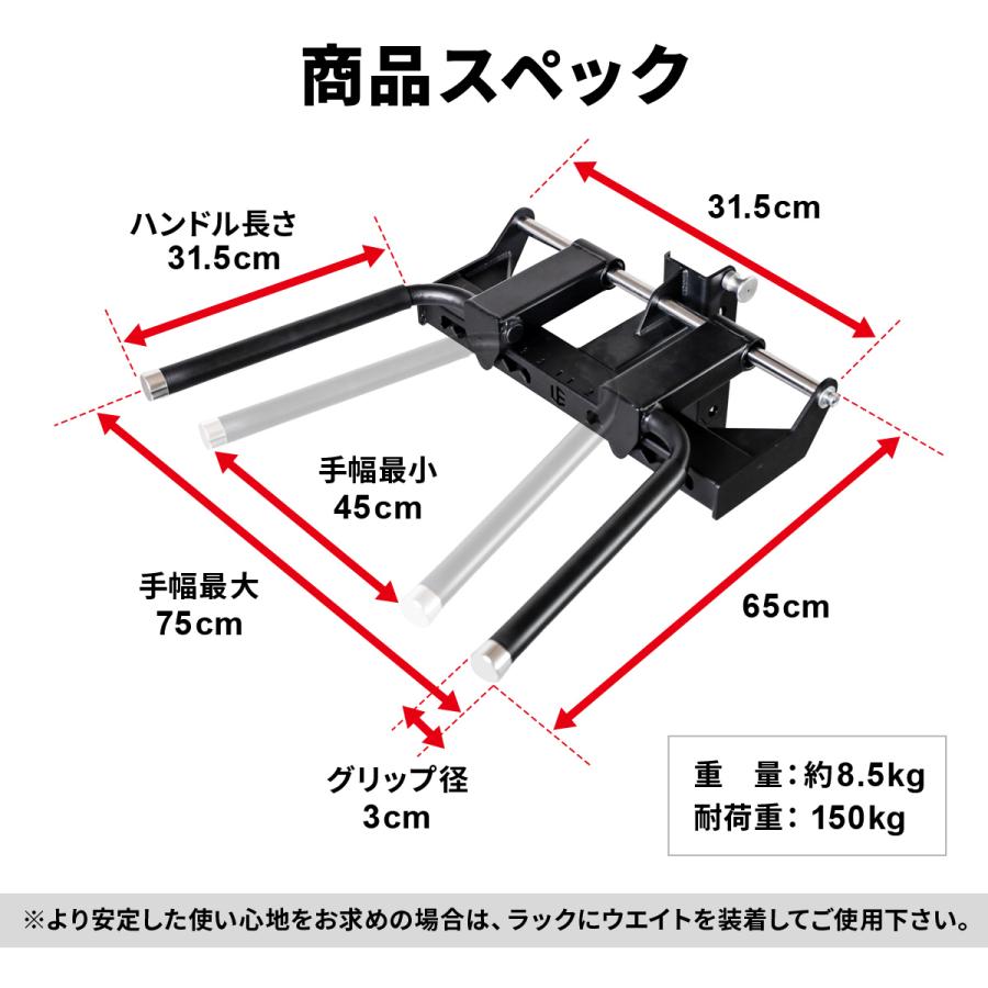 LEADING EDGE（リーディングエッジ） ディップスバー オプション