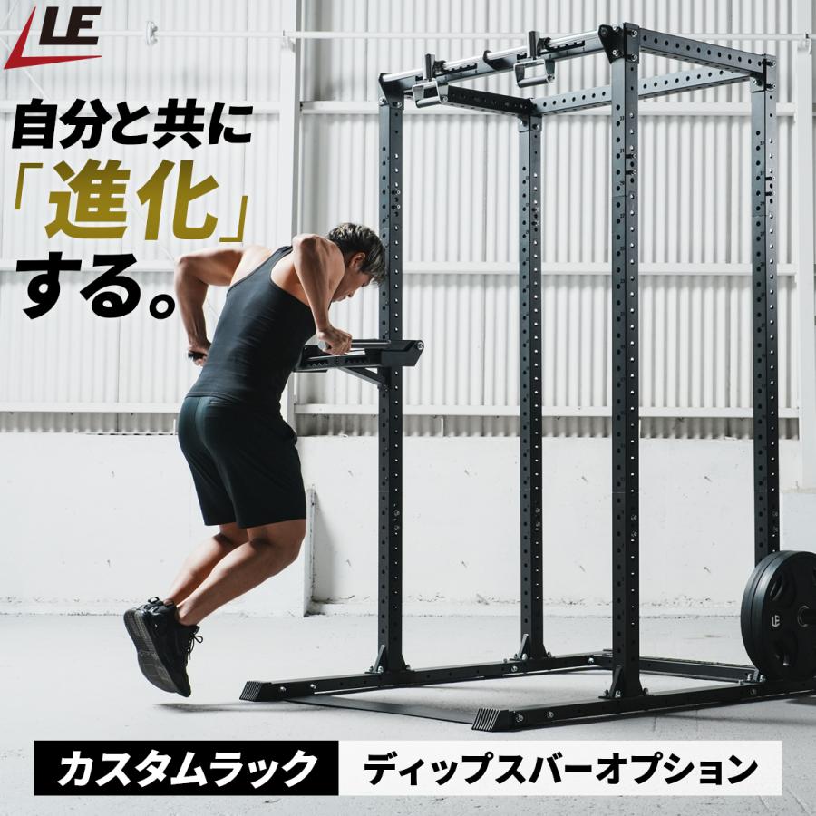 LEADING EDGE（リーディングエッジ） ディップスバー オプション
