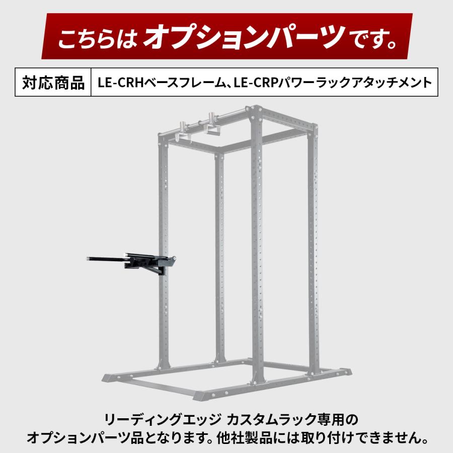 LEADING EDGE（リーディングエッジ） ディップスバー オプション LE