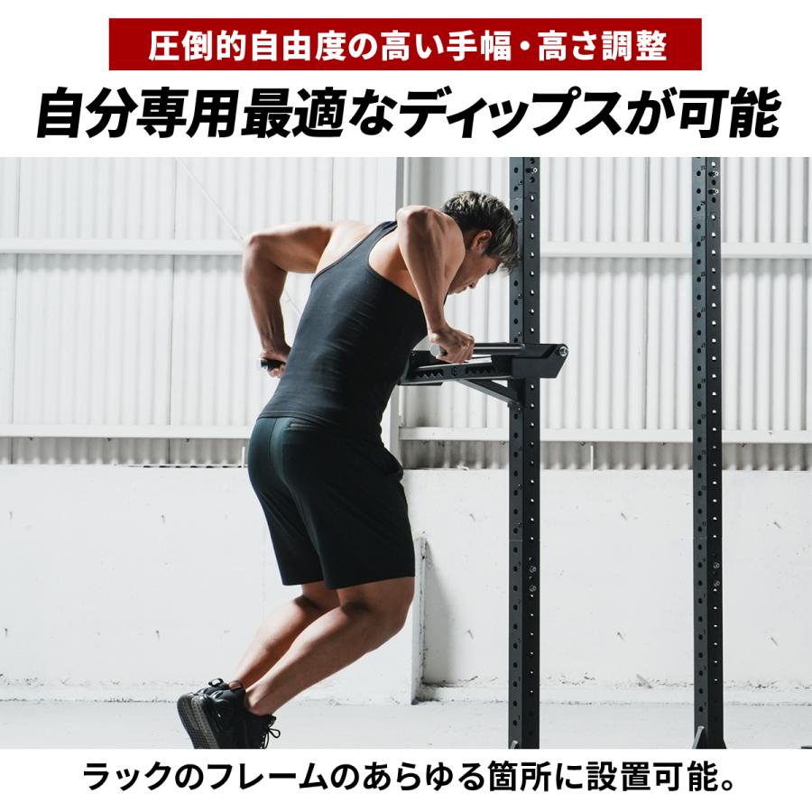 LEADING EDGE（リーディングエッジ） ディップスバー オプション LE
