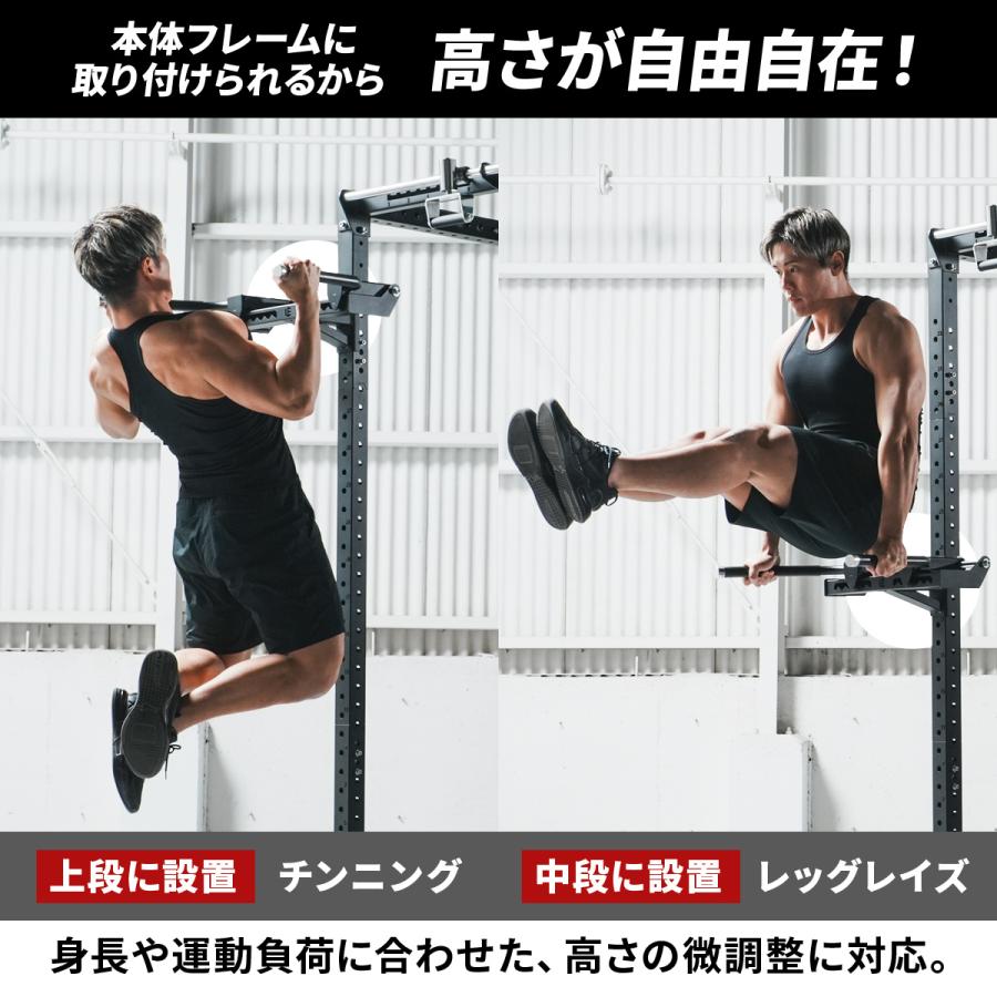 LEADING EDGE（リーディングエッジ） ディップスバー オプション LE