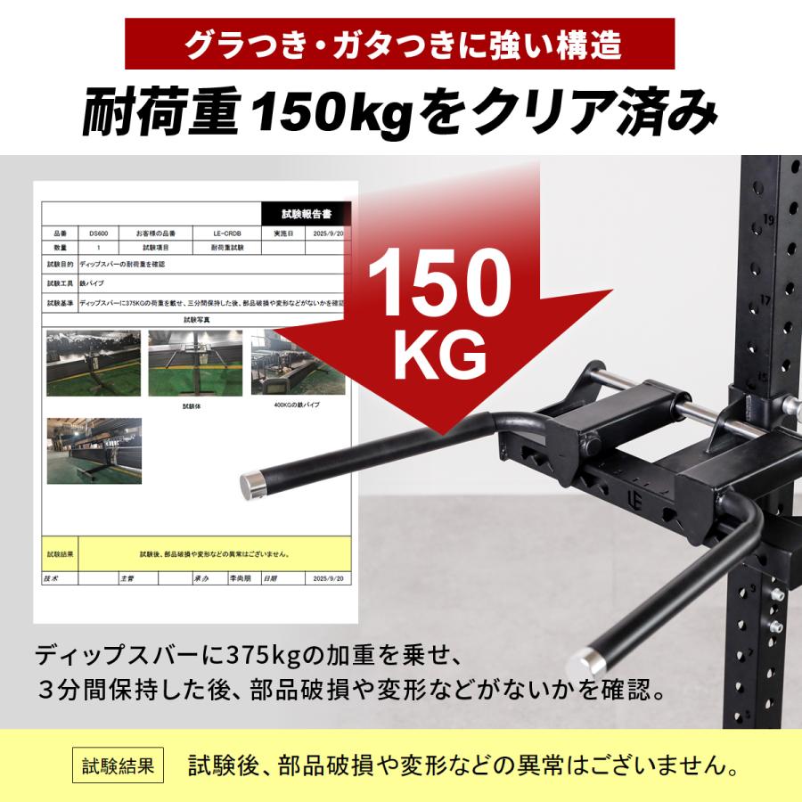 LEADING EDGE（リーディングエッジ） ディップスバー オプション LE