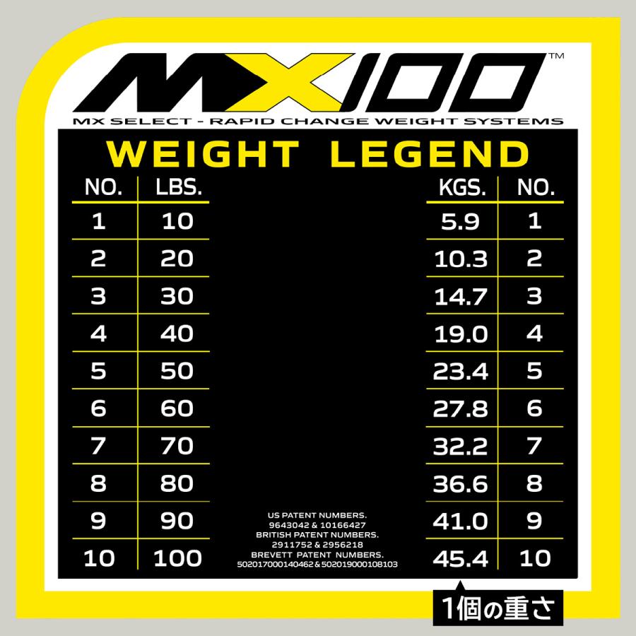 可変式ダンベル 45kg 2個セット 【5.9kg〜45.4kg 約5kg刻み 10段階