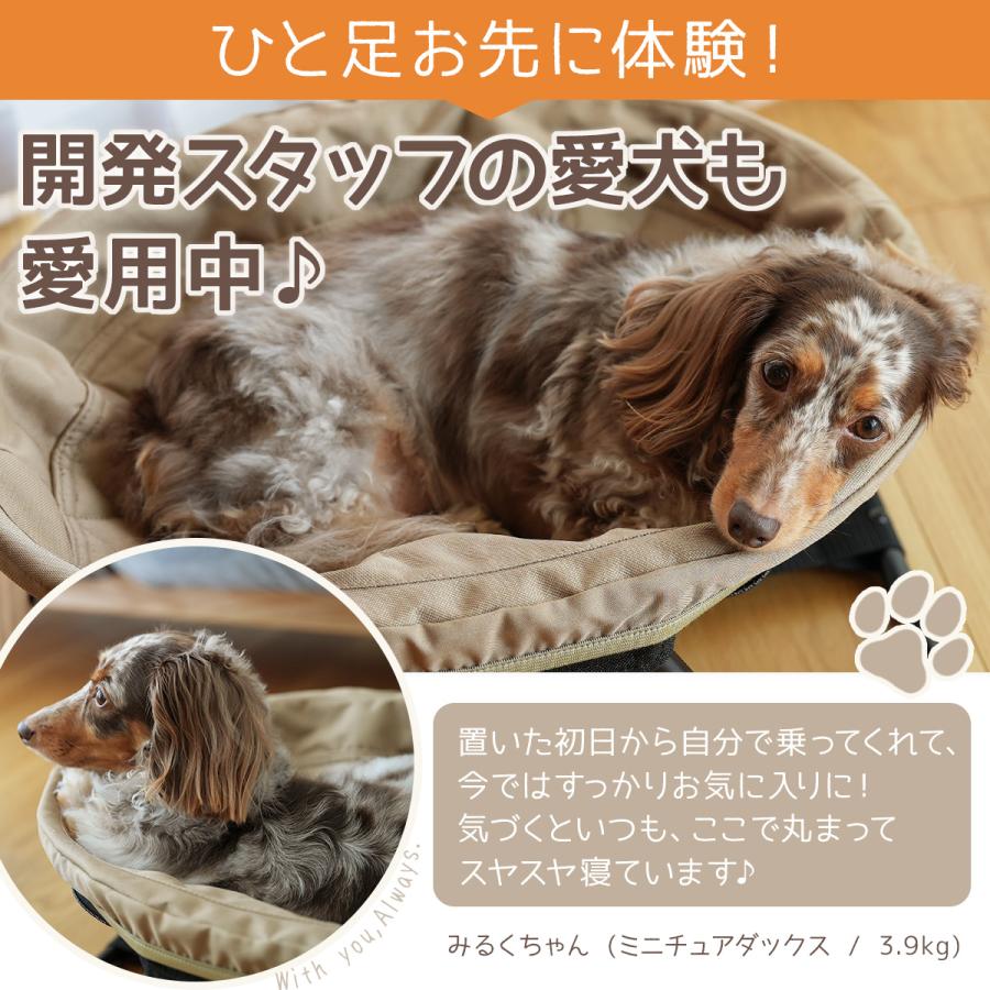 犬用ベッド 折り畳み式 ドッグコット メッシュ キルティング 小型犬 替えカバー 猫用ベッド ねこ ペット用 QC-DCF | QUICKCAMP | 17