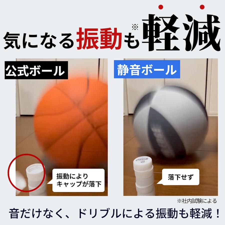 LEADING EDGE（リーディングエッジ） [元Bリーガー監修] 家練球「極