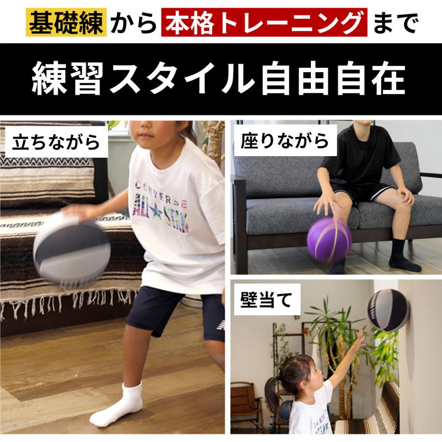 LEADING EDGE（リーディングエッジ） [元Bリーガー監修] 家練球「極