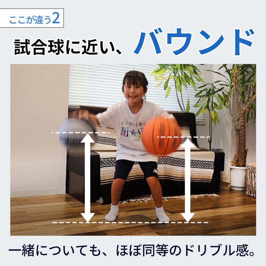 LEADING EDGE（リーディングエッジ） [元Bリーガー監修] 家練球「極