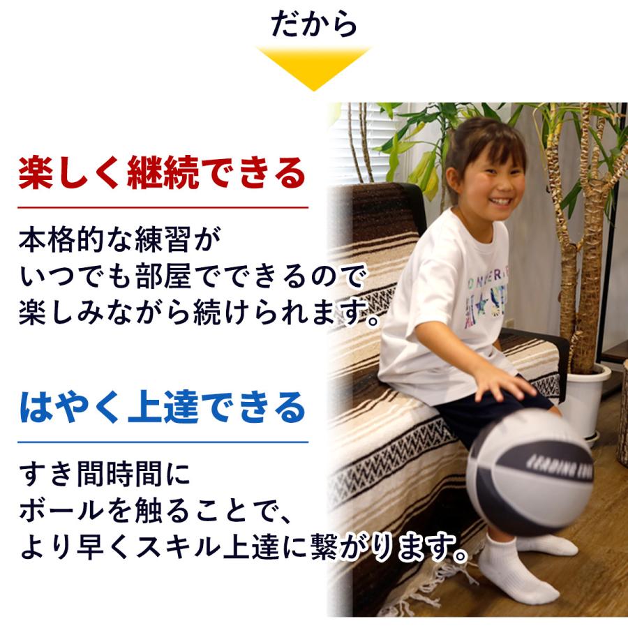 LEADING EDGE（リーディングエッジ） [元Bリーガー監修] 家練球「極