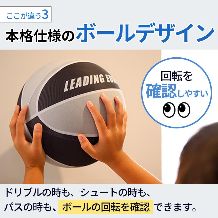 LEADING EDGE（リーディングエッジ） [元Bリーガー監修] 家練球「極