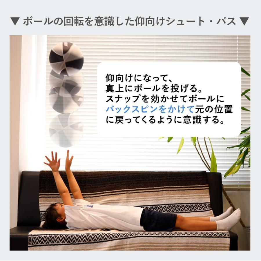 LEADING EDGE（リーディングエッジ） [元Bリーガー監修] 家練球「極