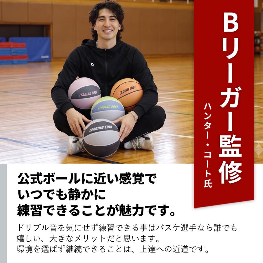 LEADING EDGE（リーディングエッジ） [元Bリーガー監修] 家練球「極