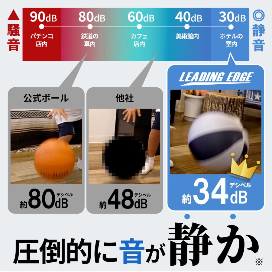 LEADING EDGE（リーディングエッジ） [元Bリーガー監修] 家練球「極