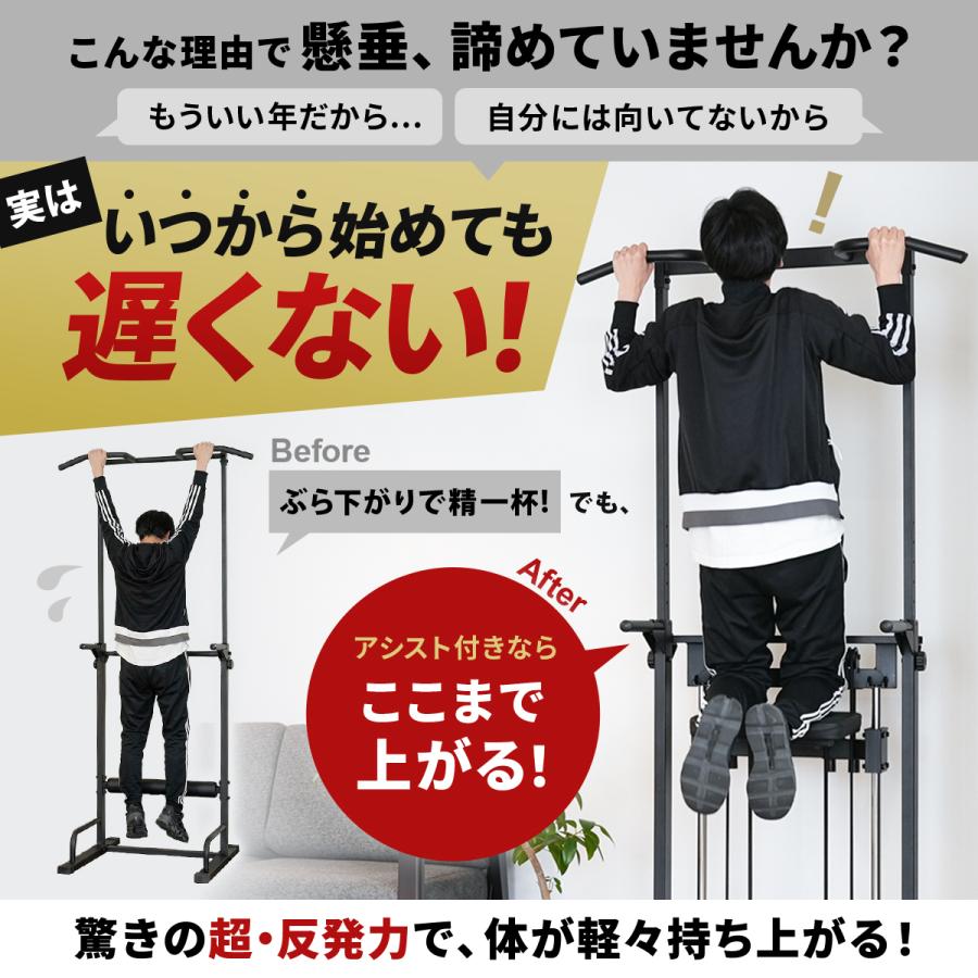 LEADING EDGE（リーディングエッジ） 懸垂器具 アシスト付き