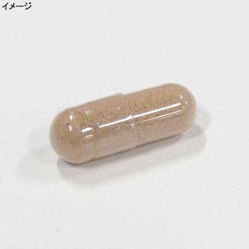 HALEO（ハレオ） ヴィボ 240カプセル 600116 計2点セット ビボ 