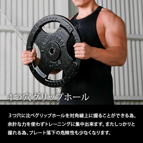 LEADING EDGE（リーディングエッジ） ヘビープレート 10kg 28mm径 