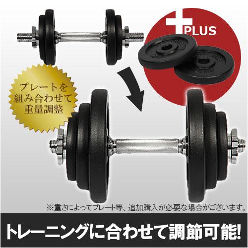 LEADING EDGE（リーディングエッジ） アイアンダンベル 片手40kg