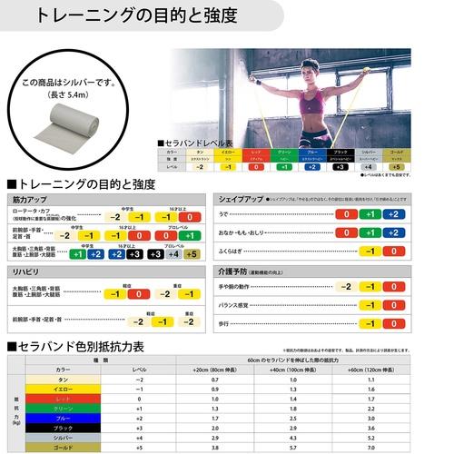 ディーアンドエム D＆M セラバンド 強度レベル：＋4 TB-6 シルバー チューブ トレーニングバンド THERABAND トレーニング フィットネス エクササイズ｜esports｜02