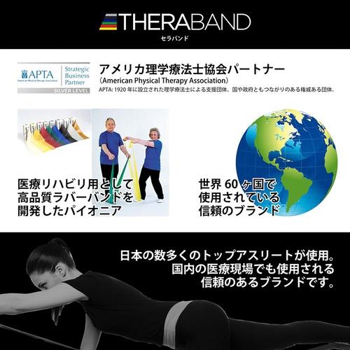 ディーアンドエム D＆M セラバンド 強度レベル：＋4 TB-650 シルバー チューブ トレーニングバンド THERABAND トレーニング フィットネス エクササイズ｜esports｜10