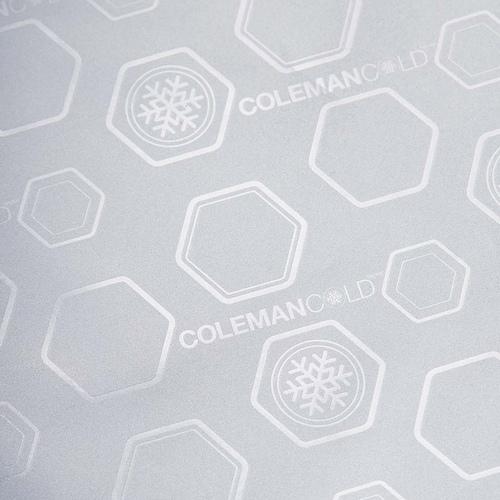 コールマン Coleman デイリークーラー/20L 2000038945 ミスト ソフトクーラーボックス クーラーバッグ 保冷バッグ バーベキュー キャンプ アウトドア|esports|04
