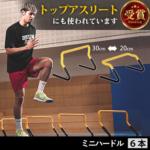 LEADING EDGE トレーニング ミニハードル 6個セット 収納ケース LEADING EDGE トレーニング ミニハードル 6個セット 収納ケース