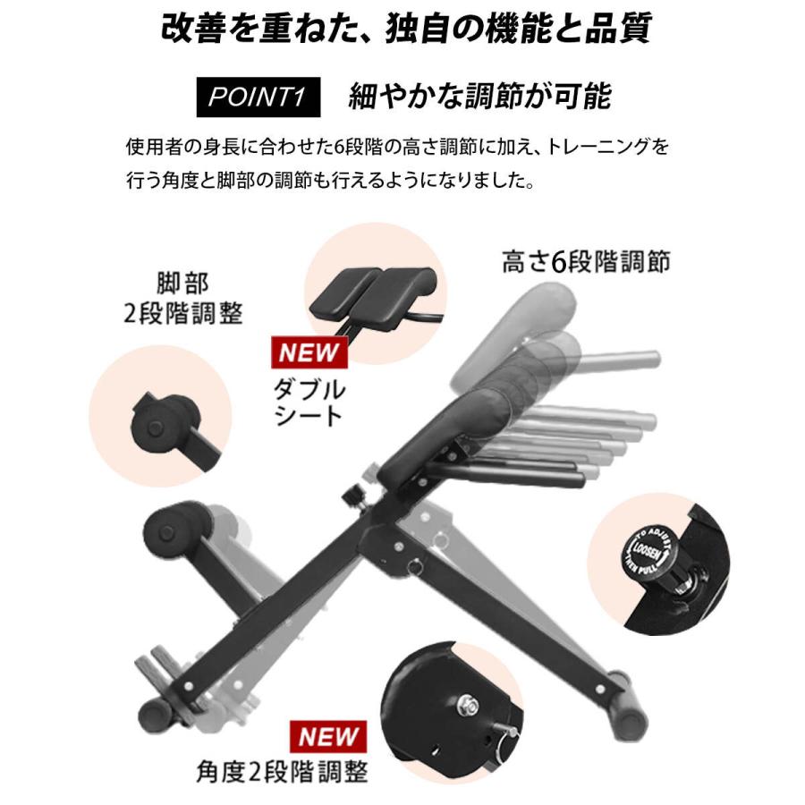 LEADING EDGE（リーディングエッジ） バックエクステンションベンチ