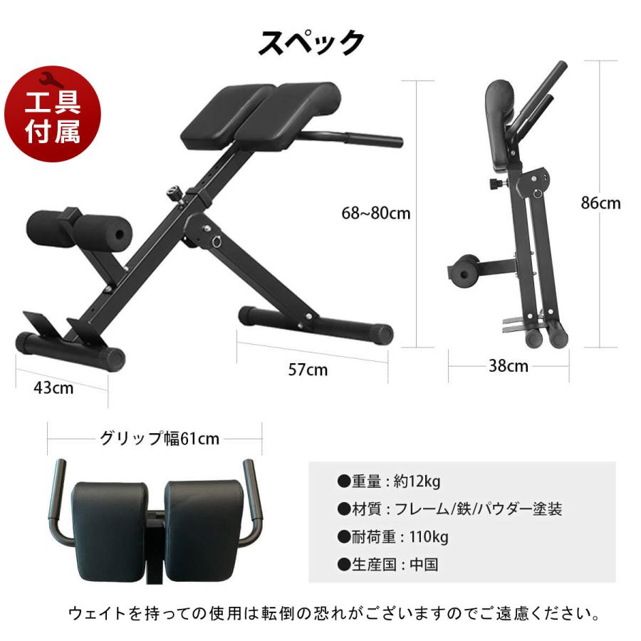 LEADING EDGE（リーディングエッジ） バックエクステンションベンチ