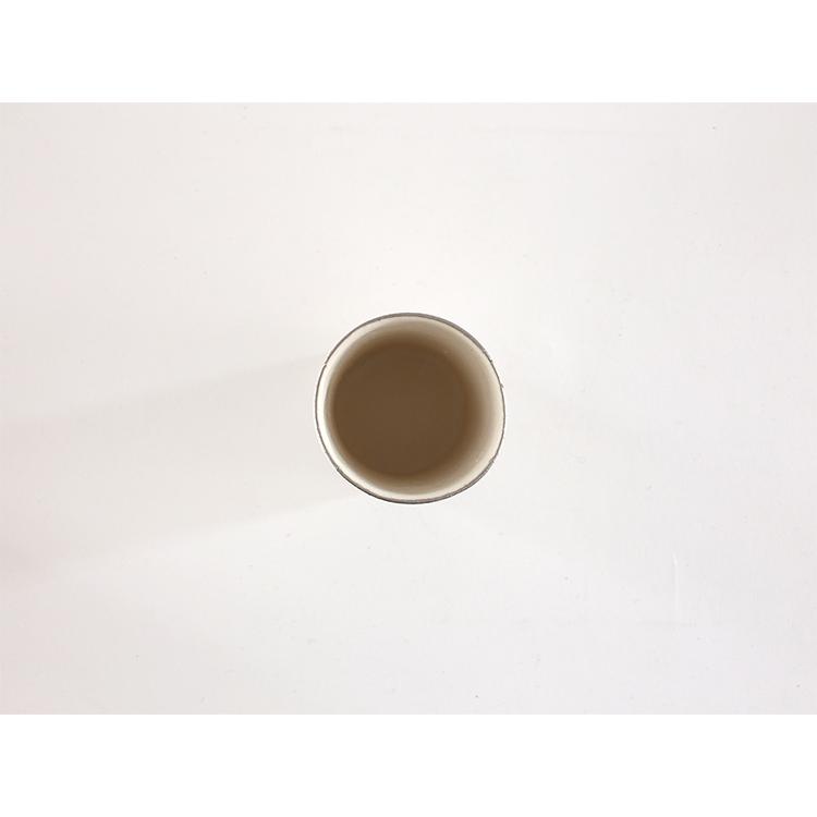 小玉陶器 LEVEL /S95 (Platinum) KODAMATOKI カップ 小玉清美 i-24001 |  | 04