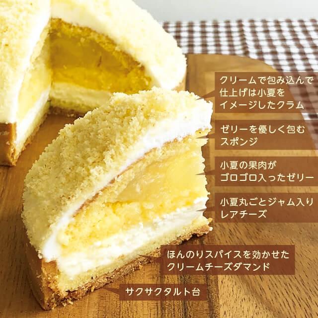 季節限定 土佐の小夏ちゃんタルト 14cm 誕生日ケーキ バースデーケーキ ケーキ スイーツ 小夏 柑橘 高知県 旬のフルーツタルト かわいい お取り寄せ 通販 Konatsu014 誕生日ケーキのお店 エスキィス 通販 Yahoo ショッピング