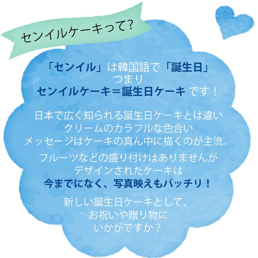 【選べる34種】センイルケーキ 4号 2〜3名様 誕生日ケーキ バースデーケーキ 推しケーキ 韓国スイーツ 結婚記念日 母の日 推し活 お祝い｜esquisse-birthday｜02