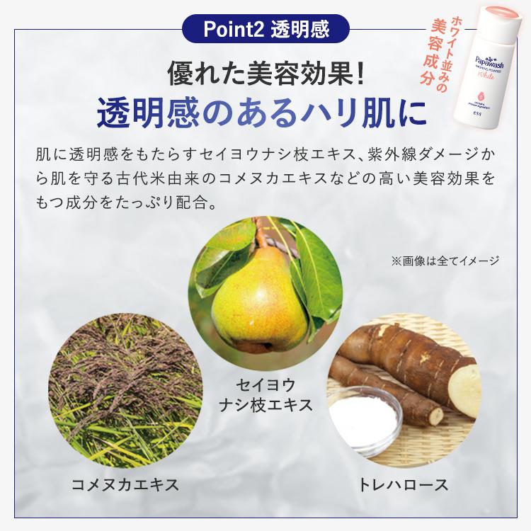 パパウォッシュ 酵素洗顔 フリー サンプル パウチ 0.5g×14包 | ESS