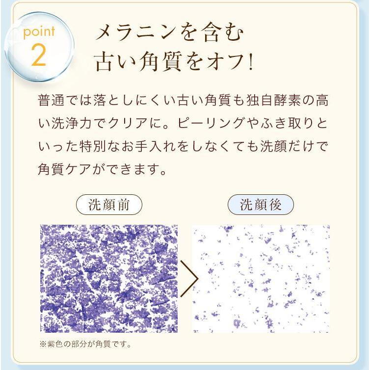 酵素洗顔パウダー パパウォッシュ デラ 60g ( 2ヶ月分 ) 酵素 粉洗顔 洗顔料 毛穴 角質 角栓 ニキビ 保湿 つっぱらない 洗顔石鹸 パパイン酵素  ESS｜ess-shop｜08