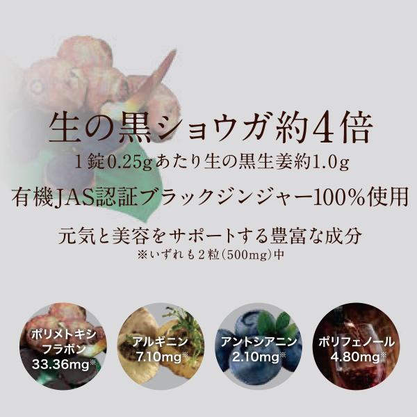 BLACK GINGER Natura ブラックジンジャーナチュラ(250mg × 60粒) ポリ