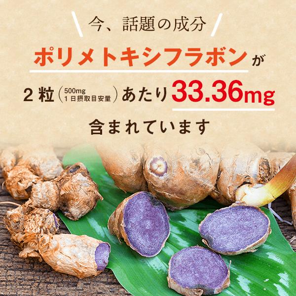 BLACK GINGER Natura ブラックジンジャーナチュラ(250mg × 60粒) ポリ