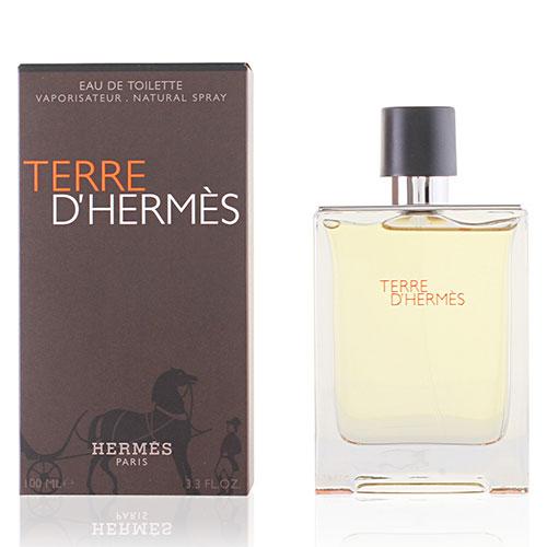 エルメス HERMES テール ドゥ EDT SP 100ml TERRE D 香水 メンズ エルメス HERMES テール ドゥ EDT SP 100ml TERRE D 香水 メンズ