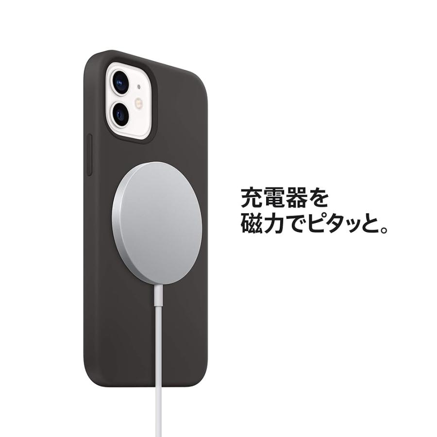 Apple 純正 MagSafe 充電器 iPhone 1m USB タイプC type-C