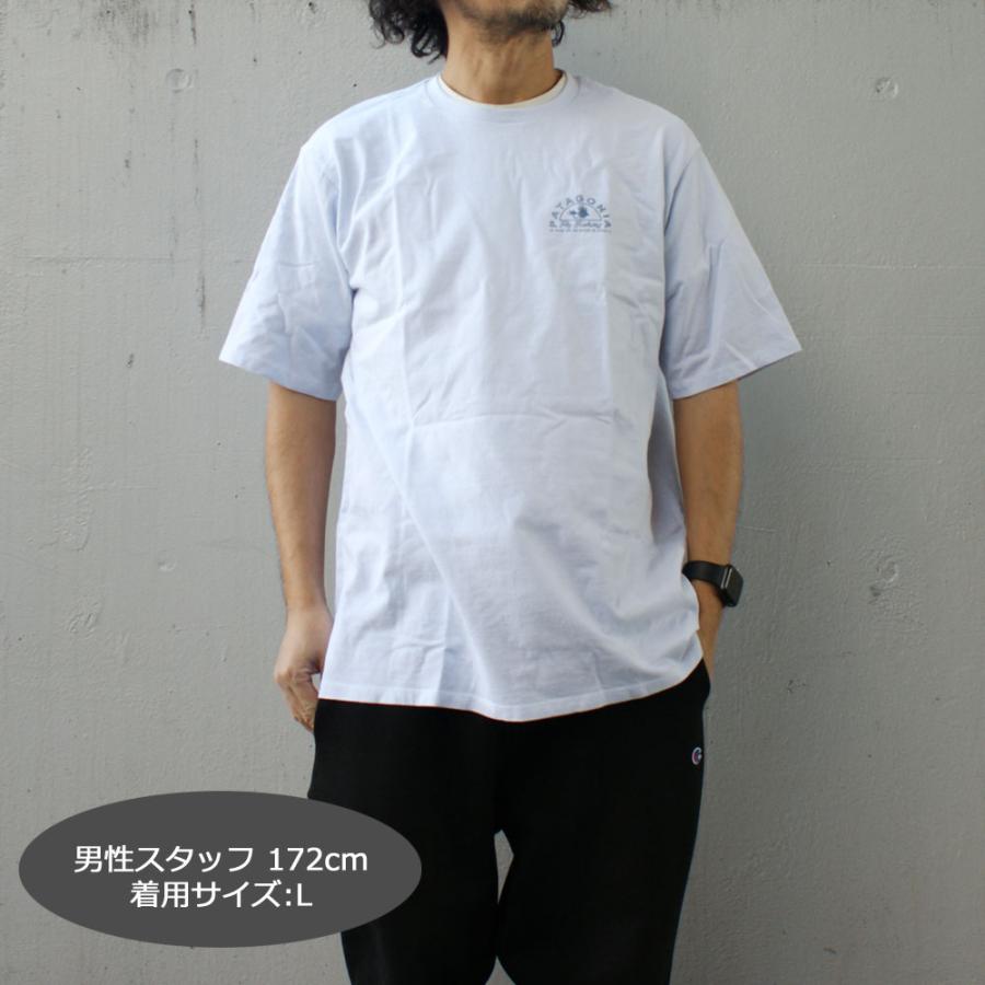 patagonia Hawaii Tシャツ Mサイズ Patagonia】【ハワイ限定】 希少 Patagonia HAWAII メンズ T